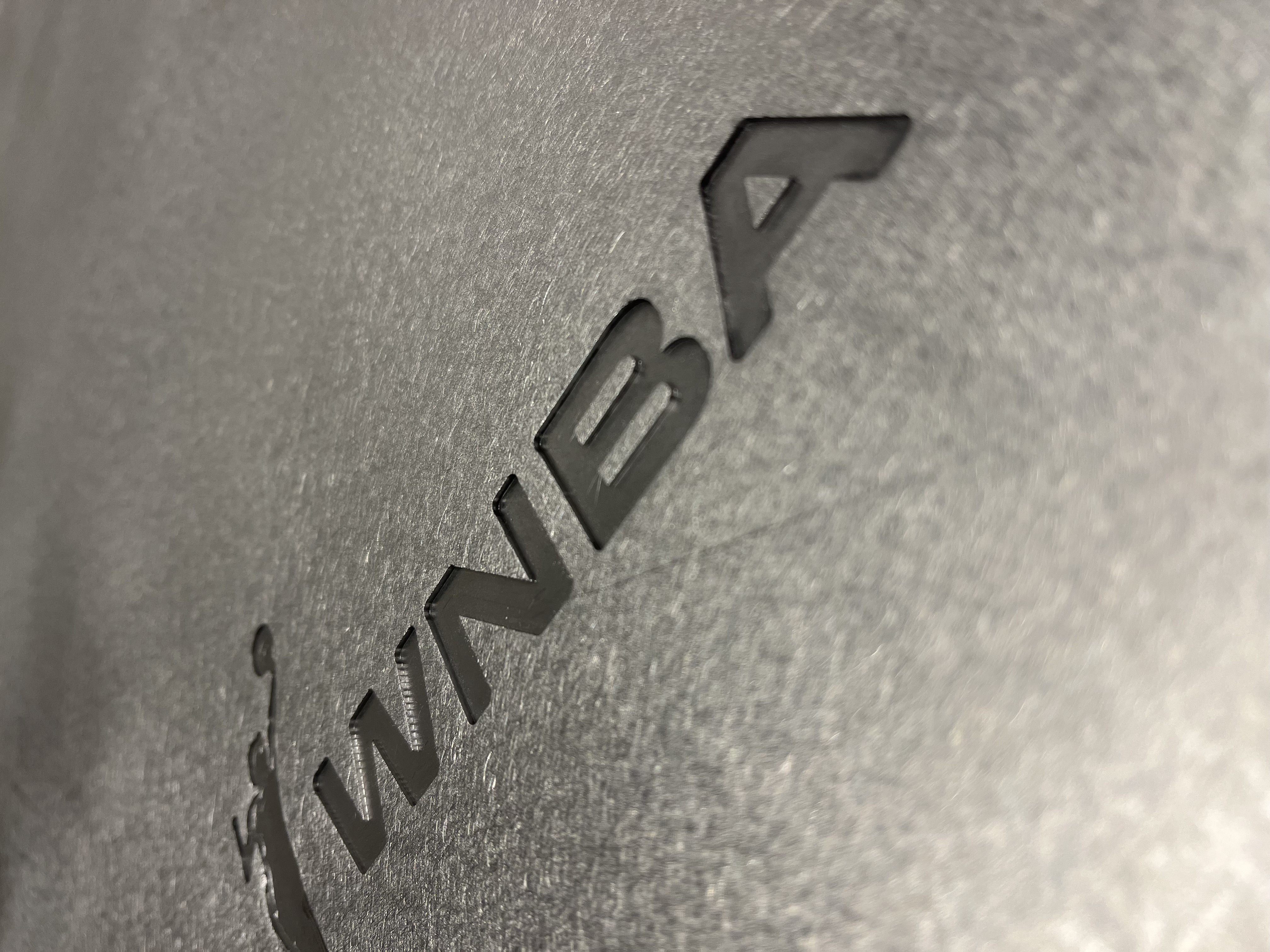 WNBA logo embossed