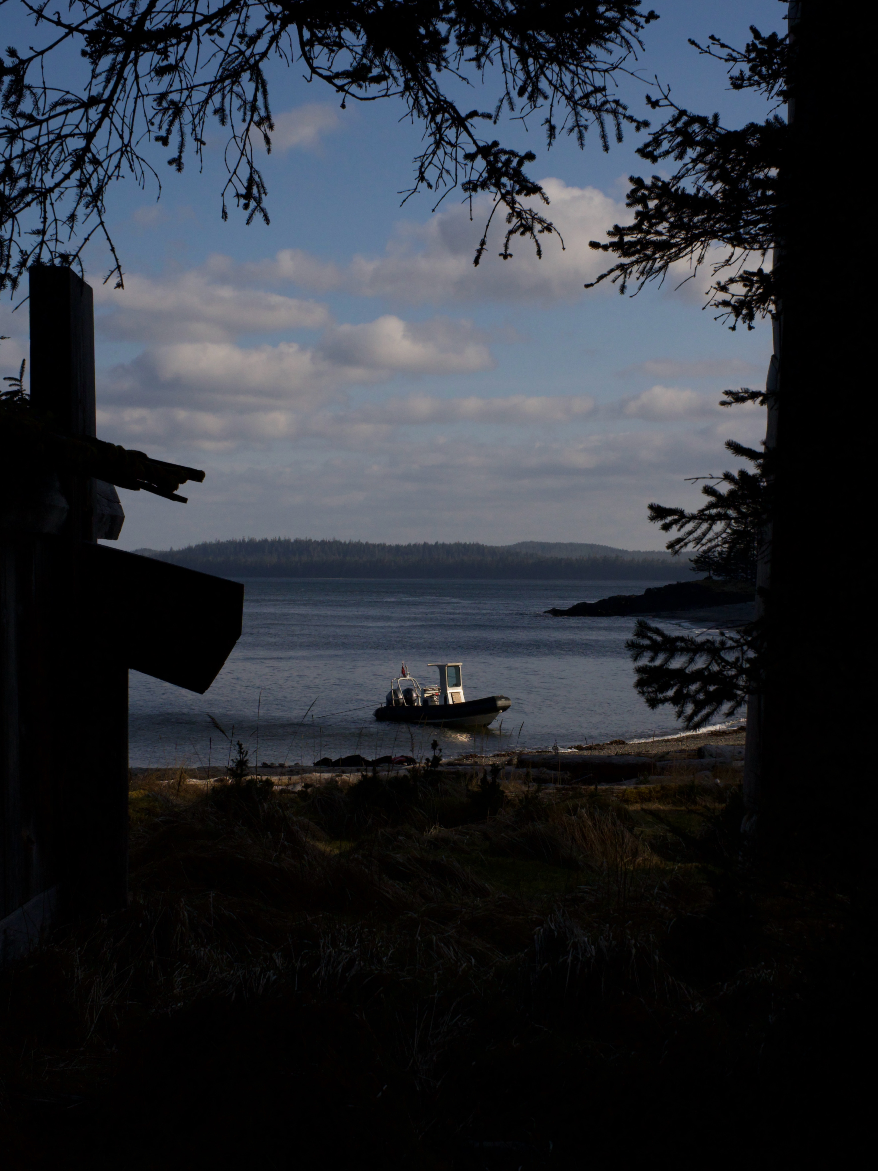 Boat on coastal water framed by trees